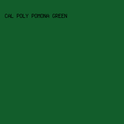 125d2b - Cal Poly Pomona Green color image preview