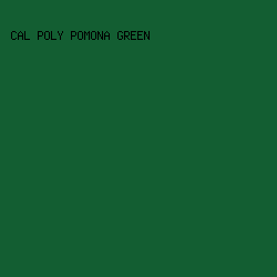 135E32 - Cal Poly Pomona Green color image preview