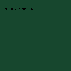 17472e - Cal Poly Pomona Green color image preview