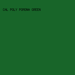 186529 - Cal Poly Pomona Green color image preview