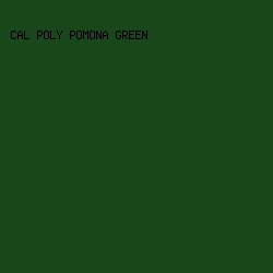 19461a - Cal Poly Pomona Green color image preview