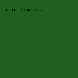 1F5F1F - Cal Poly Pomona Green color image preview