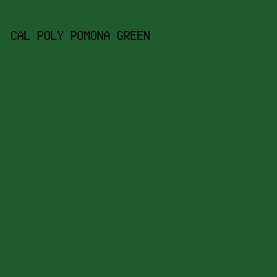 1e5c2d - Cal Poly Pomona Green color image preview