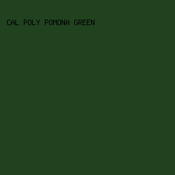 21421F - Cal Poly Pomona Green color image preview