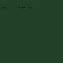 214226 - Cal Poly Pomona Green color image preview