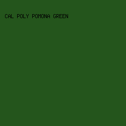24551C - Cal Poly Pomona Green color image preview