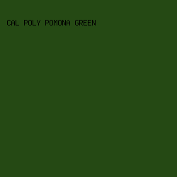254914 - Cal Poly Pomona Green color image preview