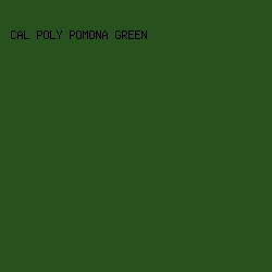 27511D - Cal Poly Pomona Green color image preview