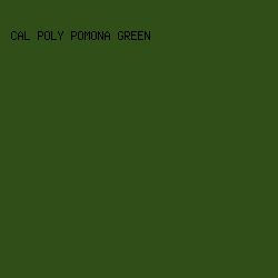2F4E18 - Cal Poly Pomona Green color image preview