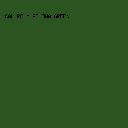 2a5420 - Cal Poly Pomona Green color image preview
