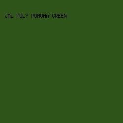 2e541a - Cal Poly Pomona Green color image preview