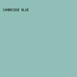 8FBFB7 - Cambridge Blue color image preview