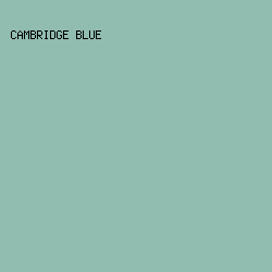 91BCB0 - Cambridge Blue color image preview