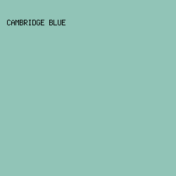 91c4b7 - Cambridge Blue color image preview
