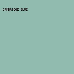 92bbb0 - Cambridge Blue color image preview