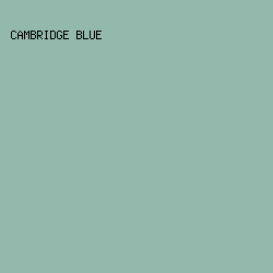 93B9AC - Cambridge Blue color image preview