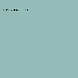 94BBB7 - Cambridge Blue color image preview