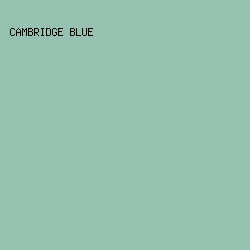 96C1B1 - Cambridge Blue color image preview