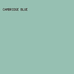 96C1B2 - Cambridge Blue color image preview