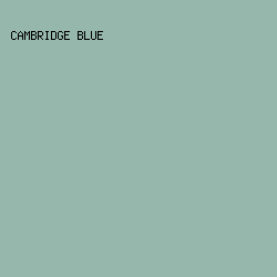 96b7ab - Cambridge Blue color image preview