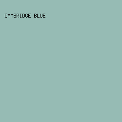 96bbb4 - Cambridge Blue color image preview