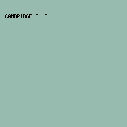 97BBAF - Cambridge Blue color image preview