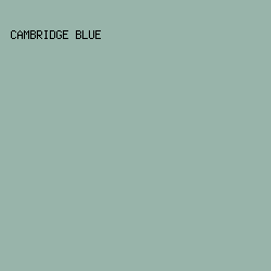 98B4AA - Cambridge Blue color image preview