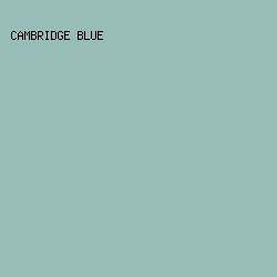 98BDB8 - Cambridge Blue color image preview
