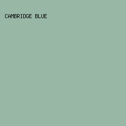 98b7a5 - Cambridge Blue color image preview