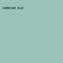 99C3B7 - Cambridge Blue color image preview