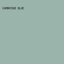 9AB3AB - Cambridge Blue color image preview