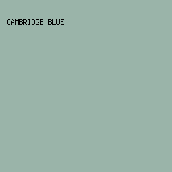 9AB4A9 - Cambridge Blue color image preview