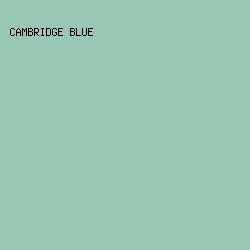9AC6B4 - Cambridge Blue color image preview