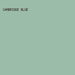 9BBDA8 - Cambridge Blue color image preview