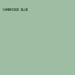 9DBEA3 - Cambridge Blue color image preview