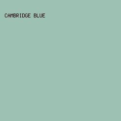 9DC2B3 - Cambridge Blue color image preview