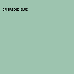 9DC4AF - Cambridge Blue color image preview