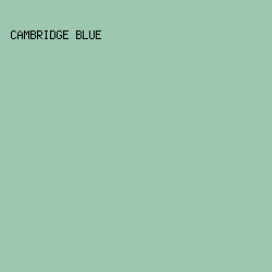 9DC7B1 - Cambridge Blue color image preview