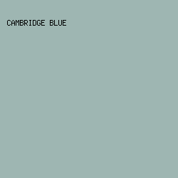 9EB6B2 - Cambridge Blue color image preview