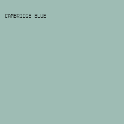 9EBCB4 - Cambridge Blue color image preview