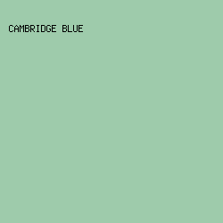 9ECBAB - Cambridge Blue color image preview
