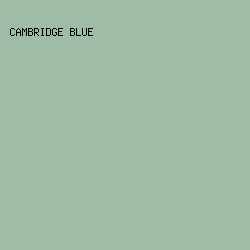 9FBCA6 - Cambridge Blue color image preview