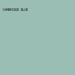 9abeb4 - Cambridge Blue color image preview