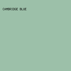 9cc0a9 - Cambridge Blue color image preview