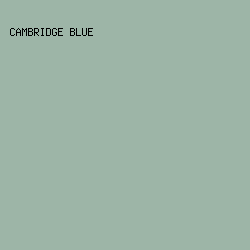 9db5a7 - Cambridge Blue color image preview