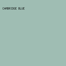 9fbdb3 - Cambridge Blue color image preview