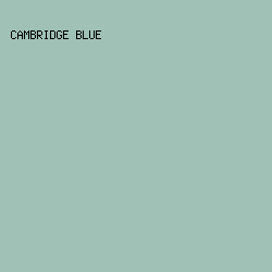 A0C1B6 - Cambridge Blue color image preview