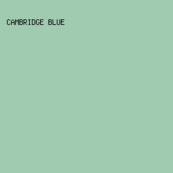 A0CBB1 - Cambridge Blue color image preview