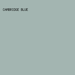 A3B5B1 - Cambridge Blue color image preview