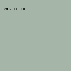 A5B6A8 - Cambridge Blue color image preview